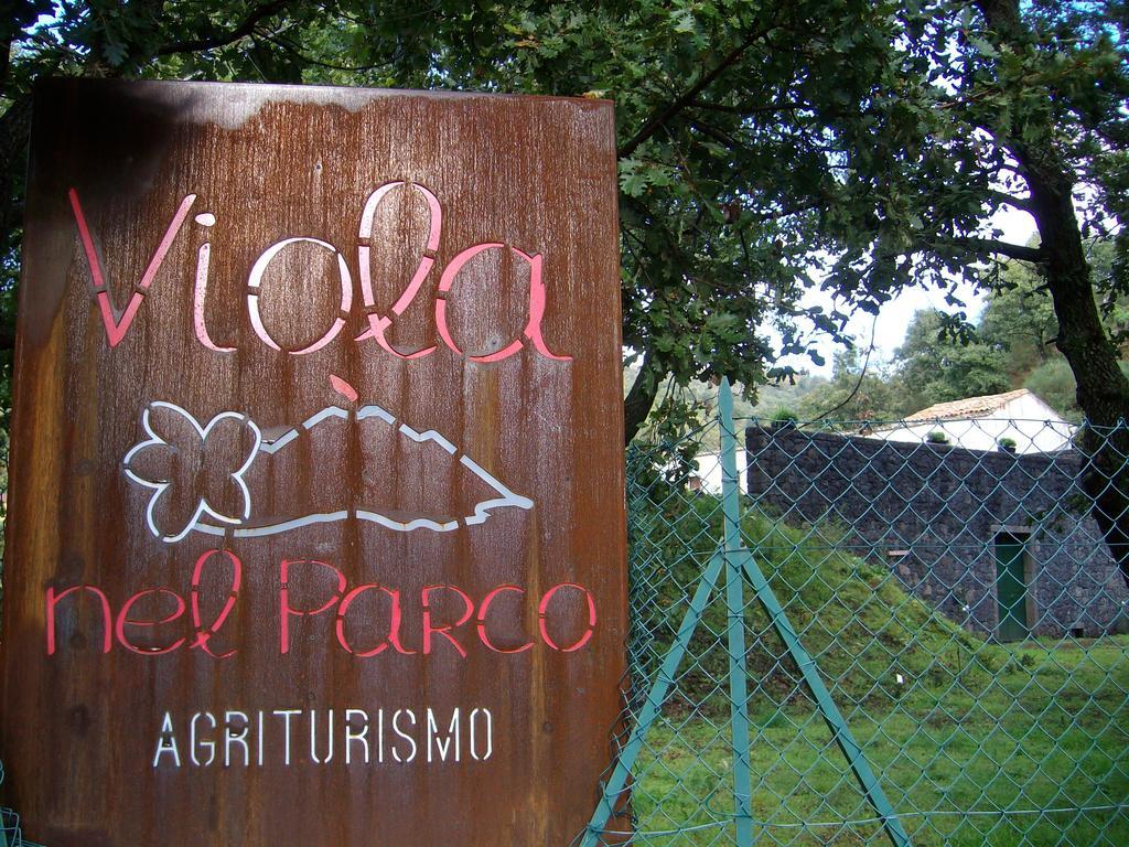 Viola Nel Parco Villa SantʼAlfio Exterior foto