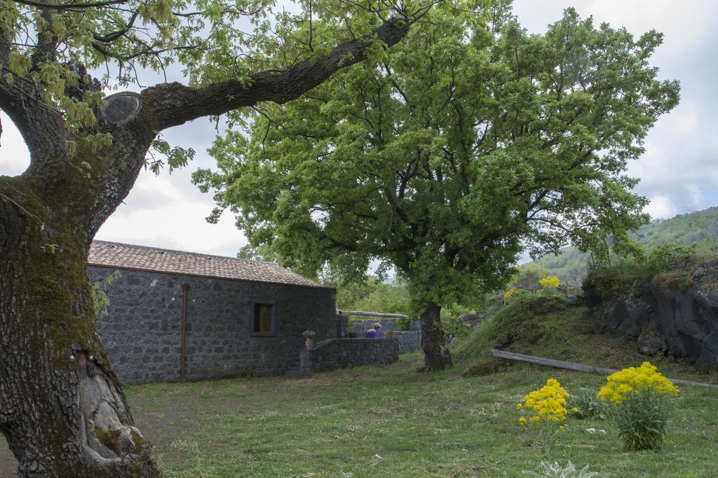 Viola Nel Parco Villa SantʼAlfio Exterior foto